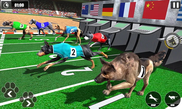 Cá Cược Game Nhanh Đua Chó Tại GO88 Để Về Đích Thành Công 2026 2 Cá Cược Game Nhanh Đua Chó Tại GO88 Để Về Đích Thành Công 2026
