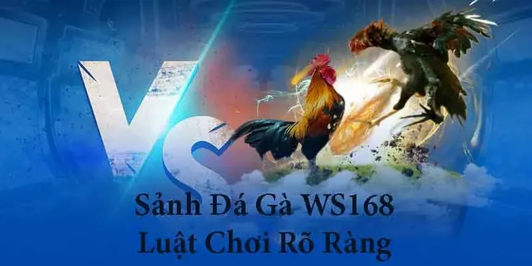Bật Mí Bí Kíp Cá Cược Đá Gà WS168 Tại GO88 Thắng Lớn Mỗi Ngày