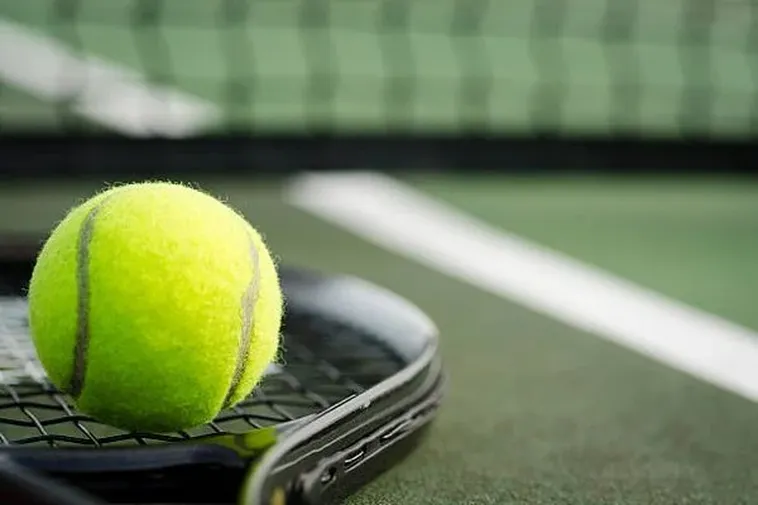 Bí Kíp Cá Cược Quần Vợt GO88 Giúp Bạn Thắng Lớn Tại Các Giải Grand Slam